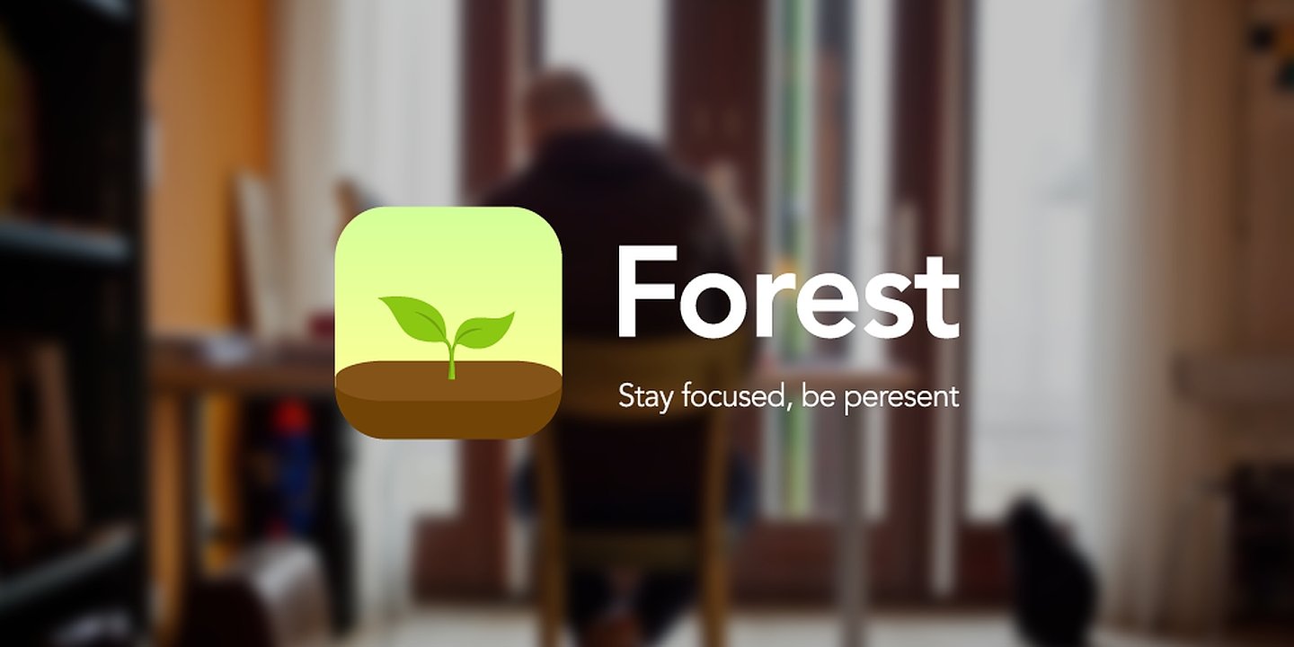 Forest Focus for Productivity MOD Apk Cover
