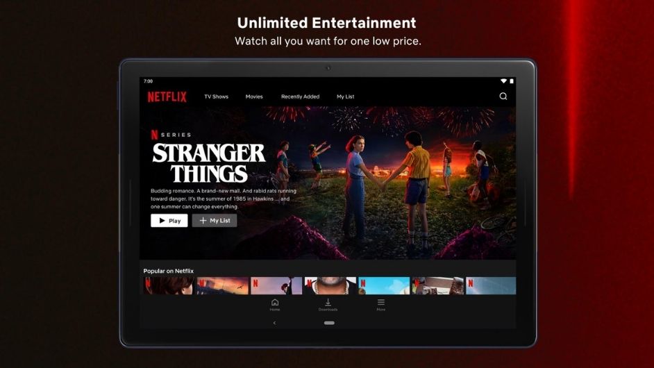 Netflix mod download