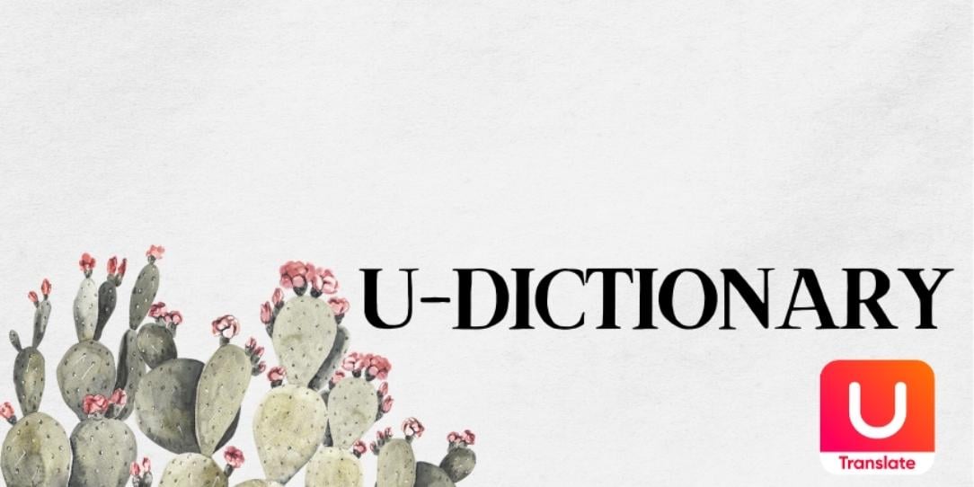 U-Dictionary MOD Apk