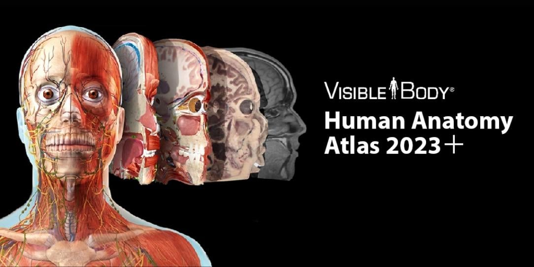 Human Anatomy Atlas 2023 Apk v2023.02.001 (Kostenloser Download)