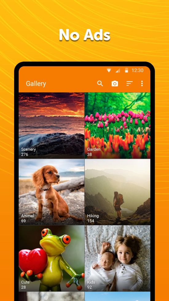 Simple Gallery Pro Paid Apk