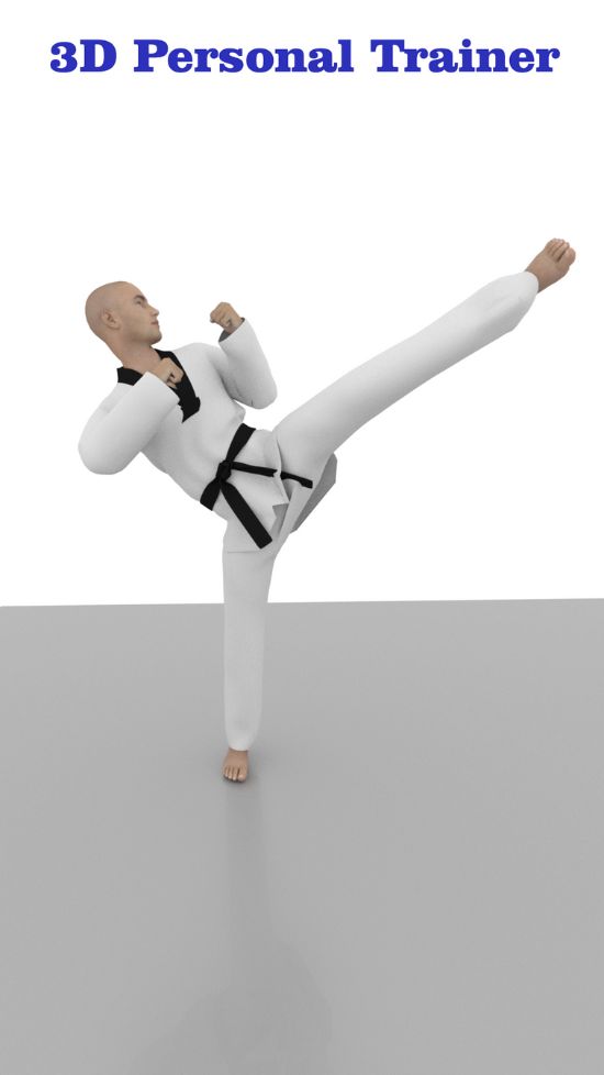Taekwondo Workout At Home Apk Download