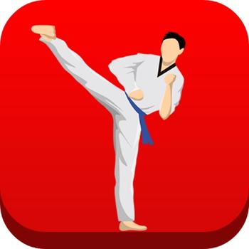 Taekwondo Workout At Home logo