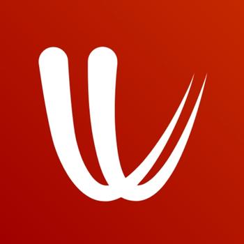 Windy.com logo