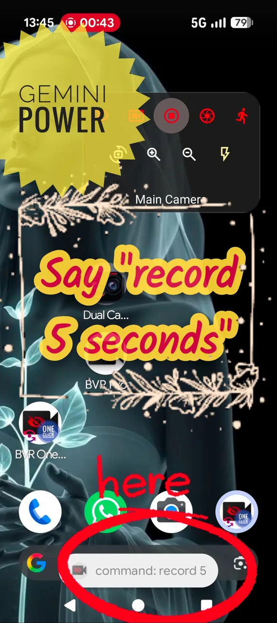 BVR Pro Screenshot 4
