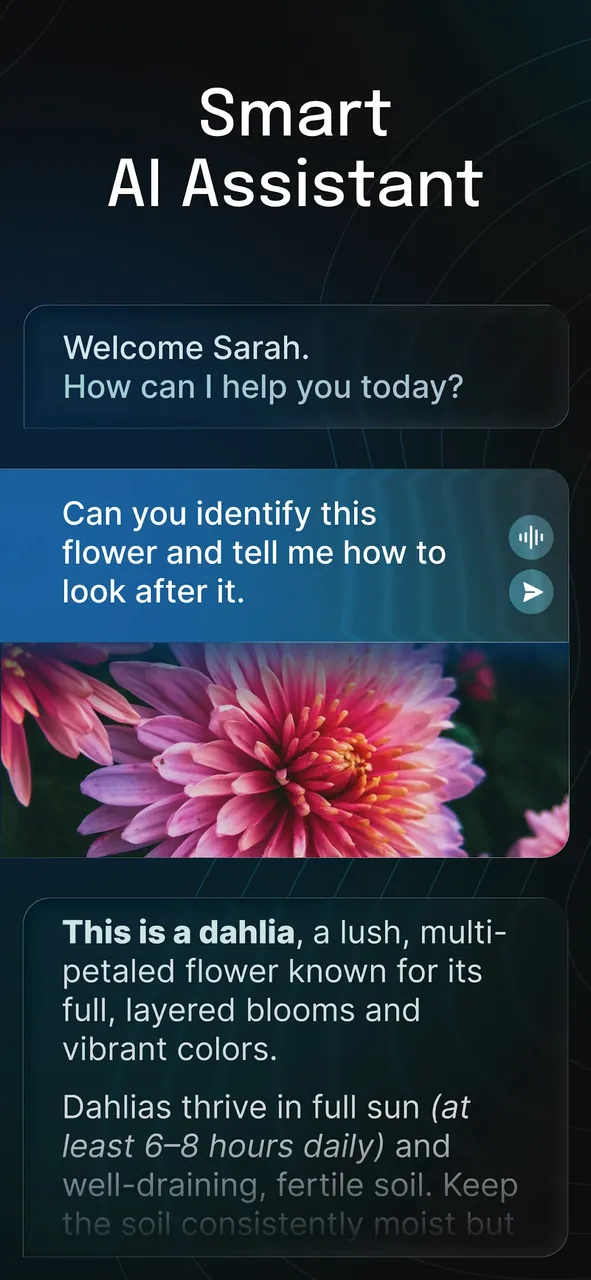 Nova AI Chatbot Screenshot 3