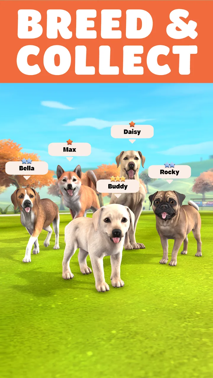 Pocket Paws: My lovely dogs Screenshot 2