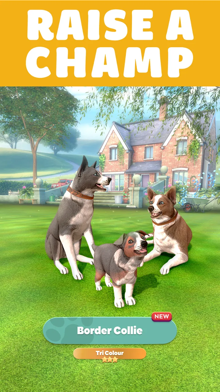 Pocket Paws: My lovely dogs Screenshot 3