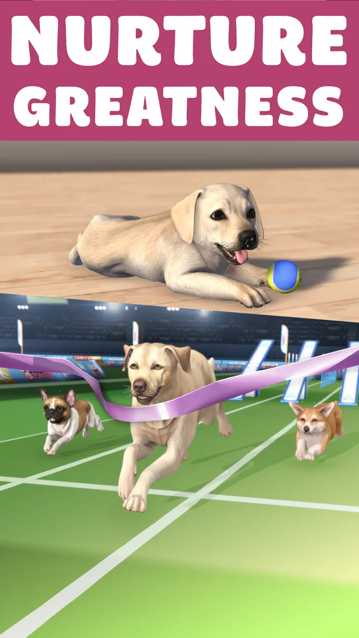 Pocket Paws: My lovely dogs Screenshot 4