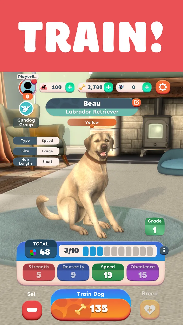 Pocket Paws: My lovely dogs Screenshot 7
