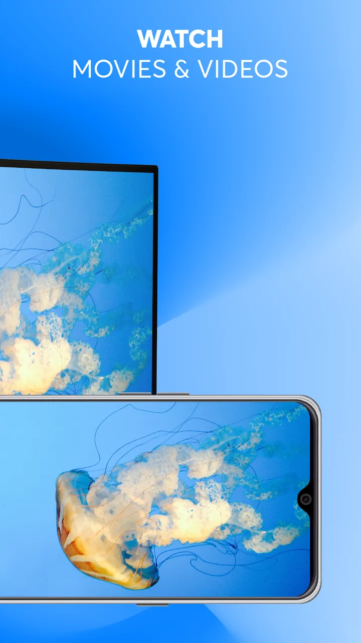 Screen Mirroring Z Screenshot 4