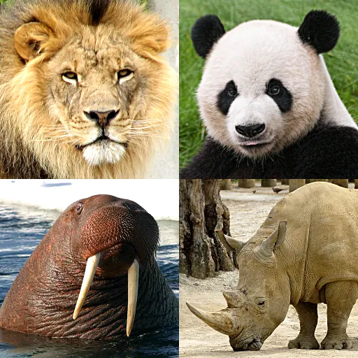 Animals Quiz Learn All Mammals Screenshot 1