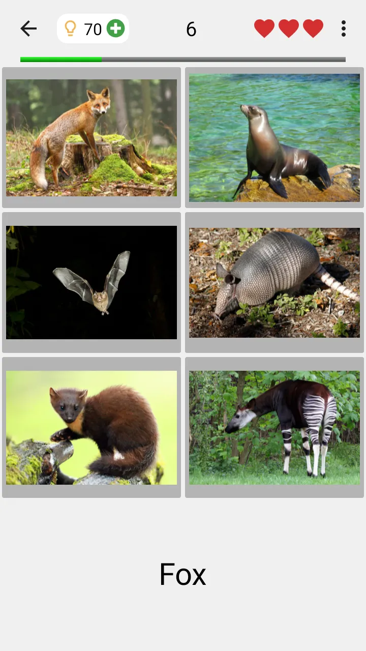 Animals Quiz Learn All Mammals Screenshot 3