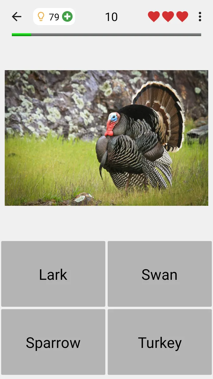 Animals Quiz Learn All Mammals Screenshot 5