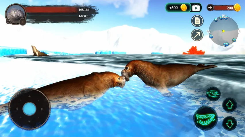 The Seal Elephant Screenshot 5