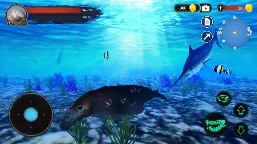 The Seal Elephant Screenshot 7