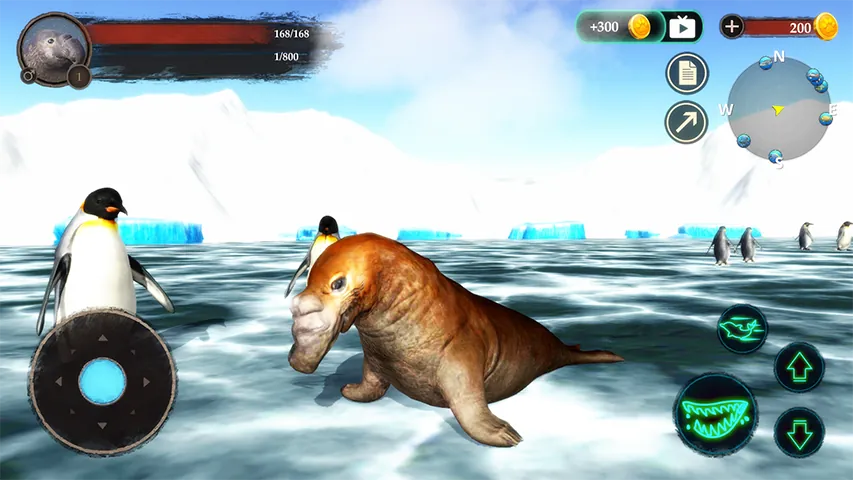 The Seal Elephant Screenshot 8