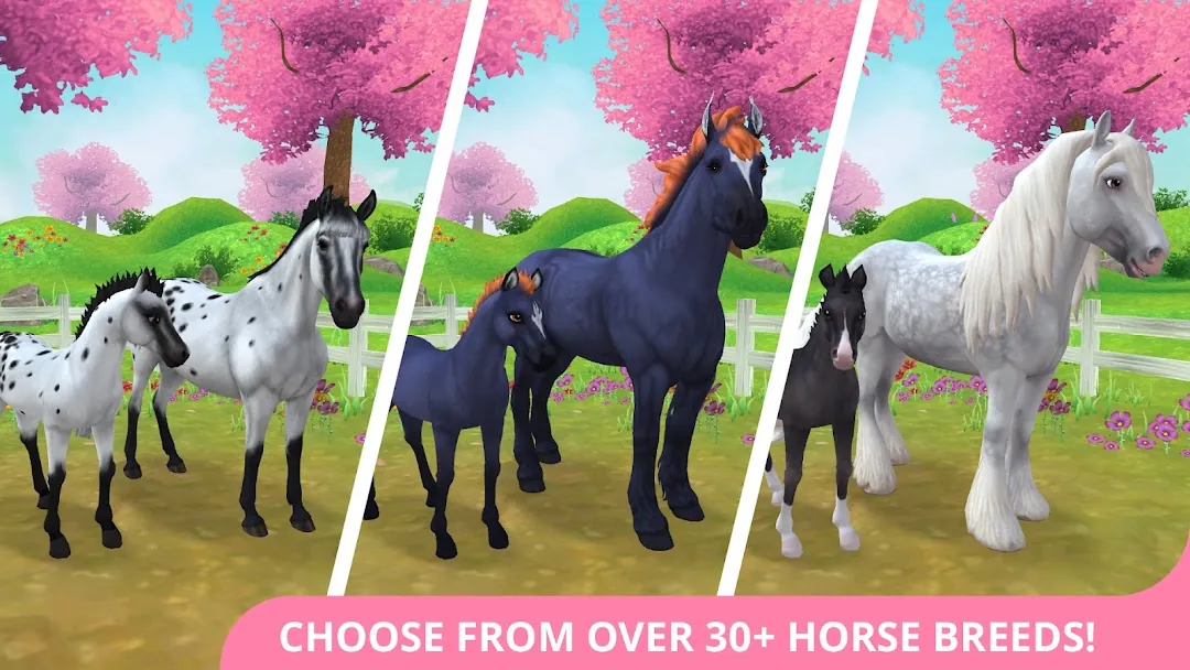 Star Stable Horses Screenshot 3